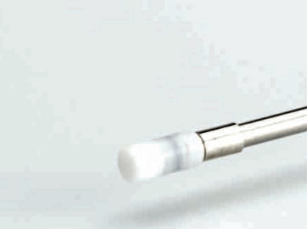Picture of Series A-2, 500µL Syringe Plunger Tip